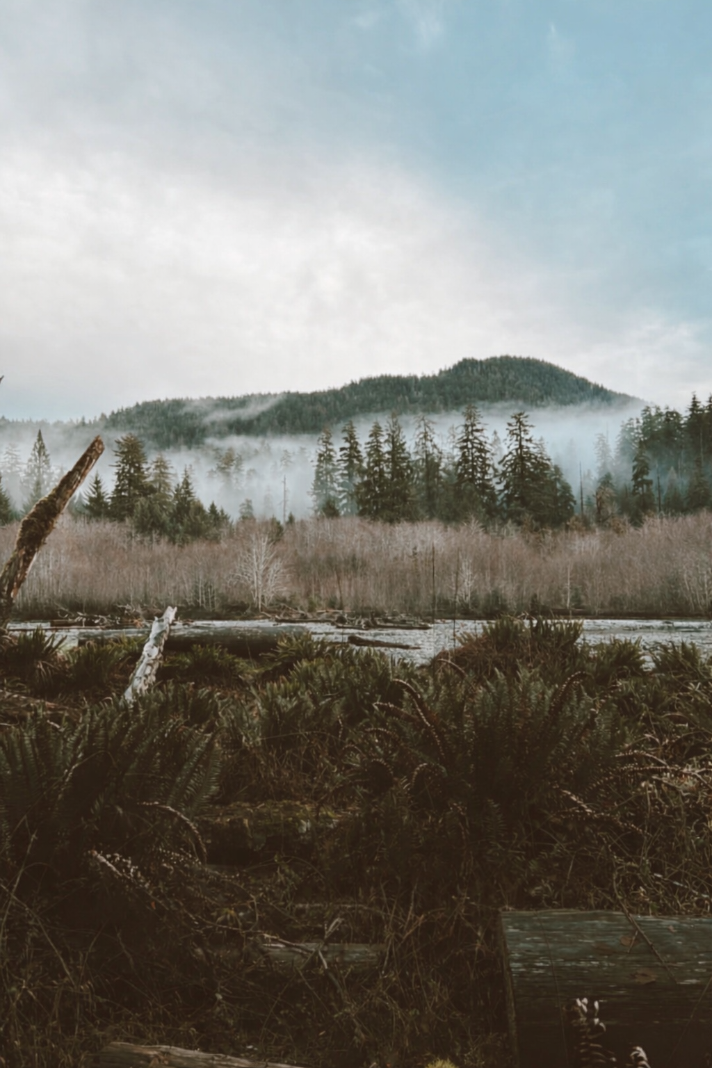 ChatGPT Image Jan 19, 2026, 07_20_44 PM.png