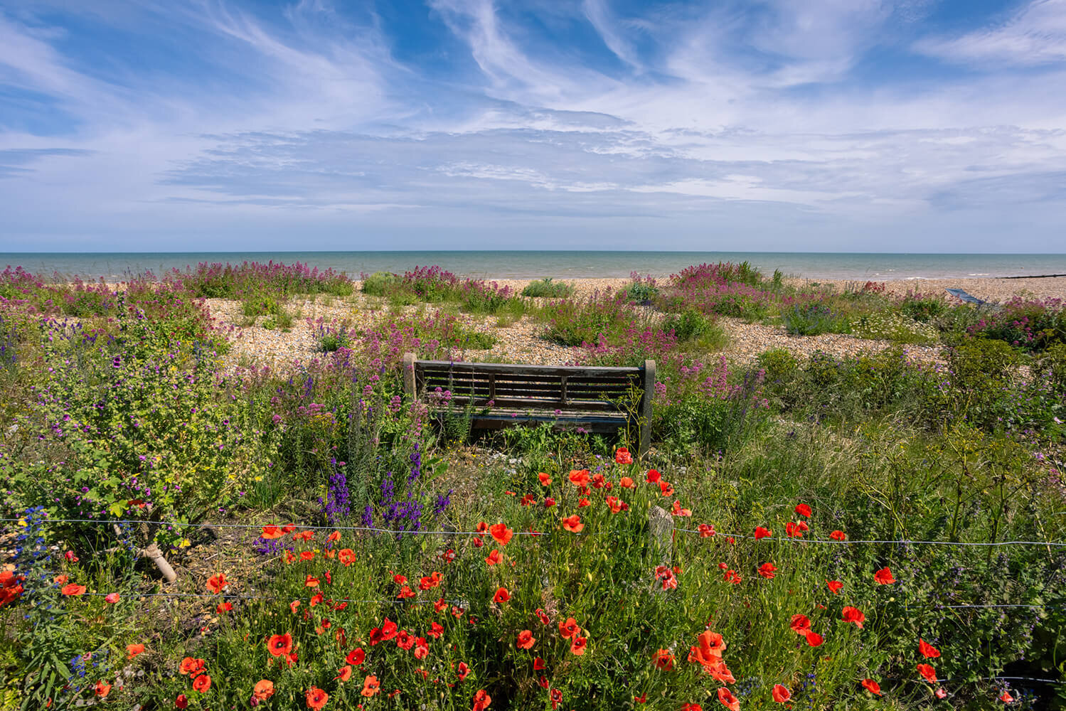 Hot Spots with Sussex Modern — Port Hotel Eastbourne