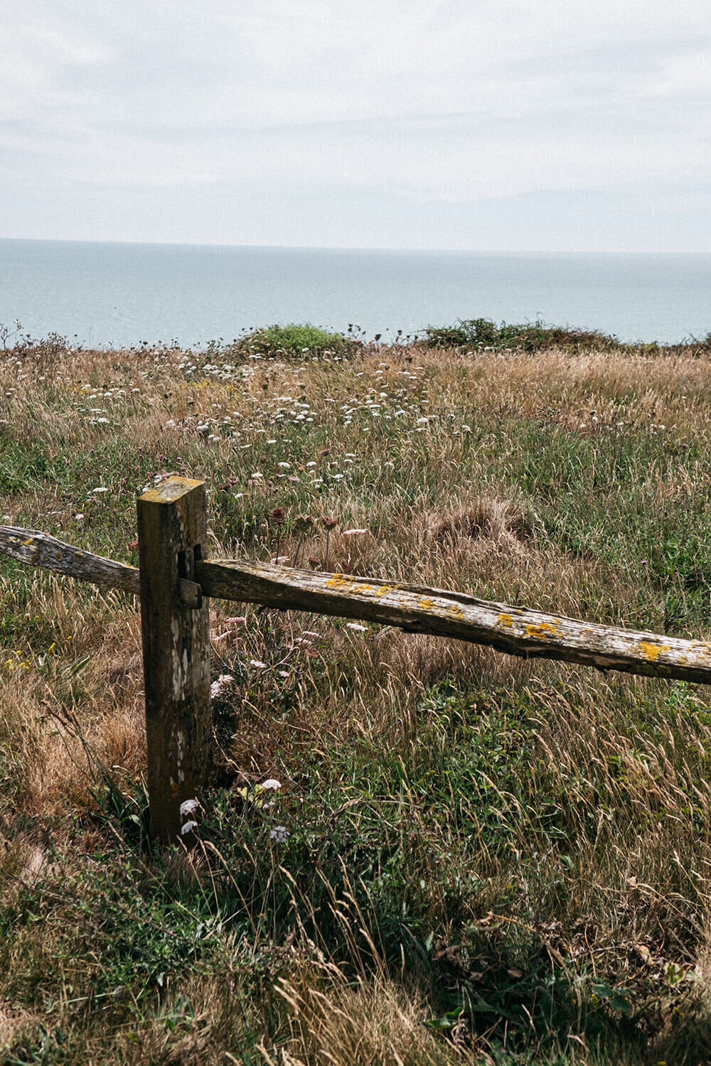 South_Downs_Way.jpg