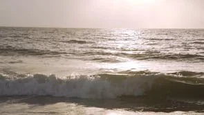 Click to watch Port's video