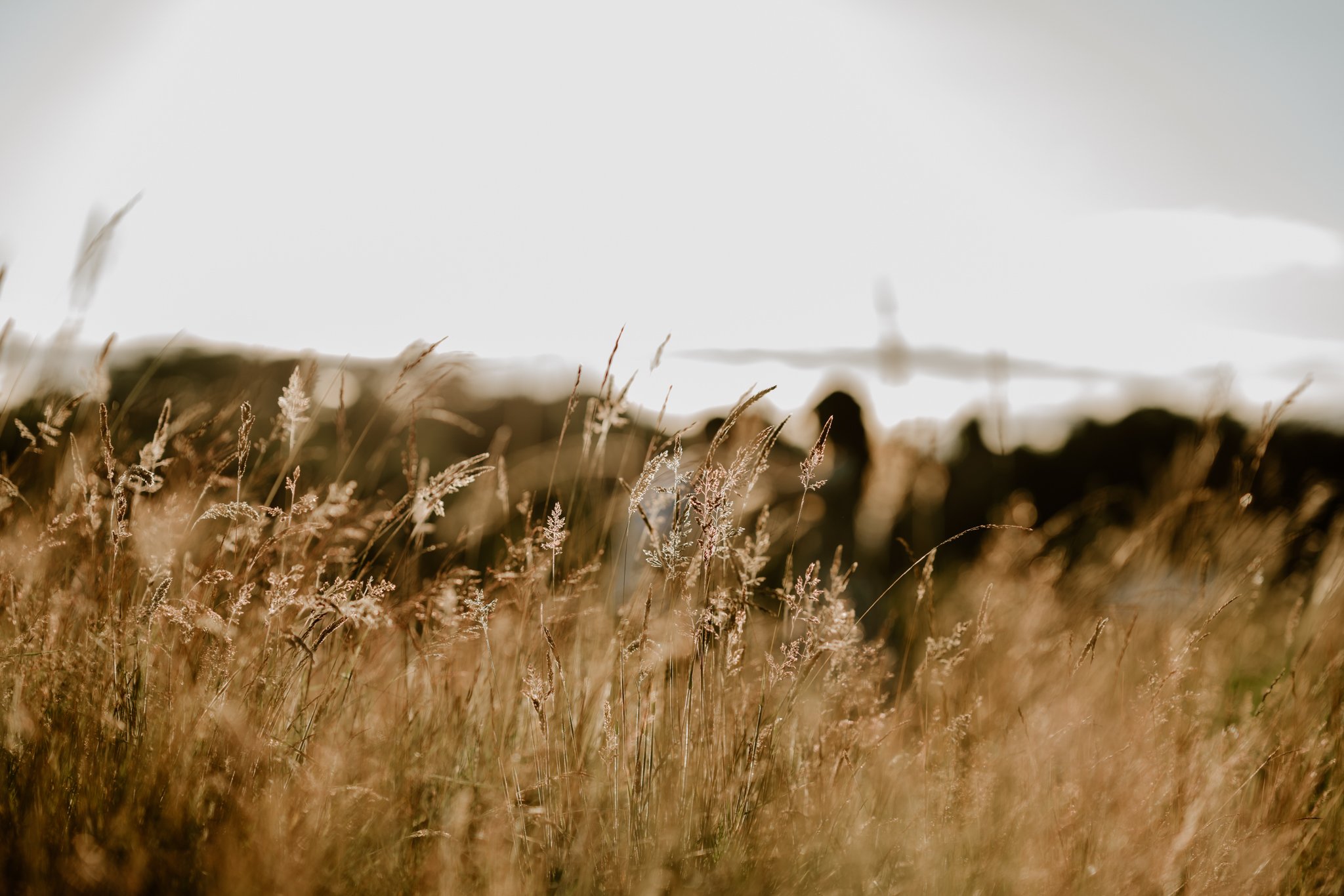 Angus Scotland Engagement and Wedding Photographer - Emily and Gabriel - Adventure Couple Session1.jpg