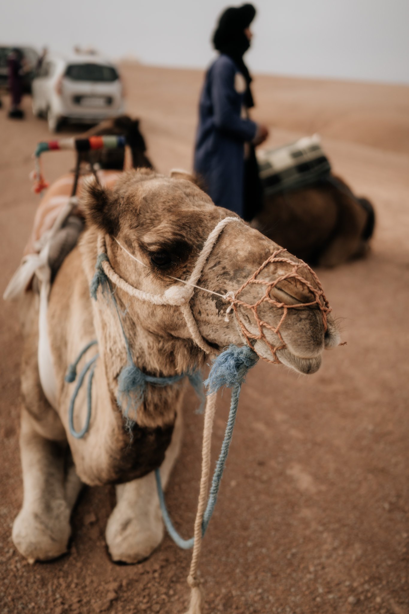 Agafay Desert Elopement | Emily and Joe | Marrakech wedding photographer - 56.jpg