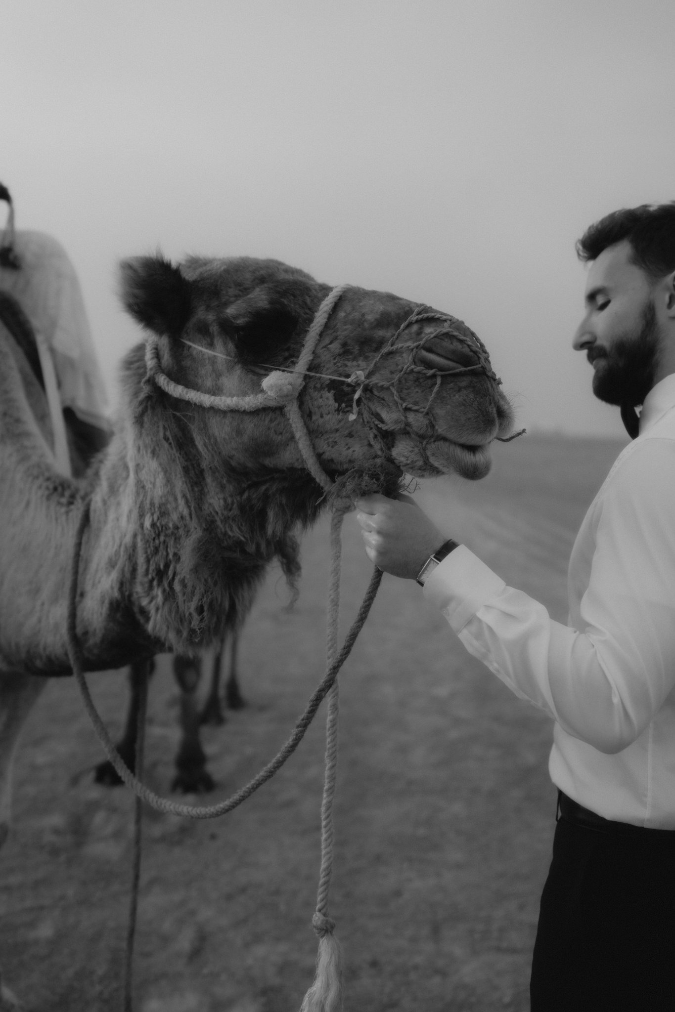 Agafay Desert Elopement | Emily and Joe | Marrakech wedding photographer - 77.jpg