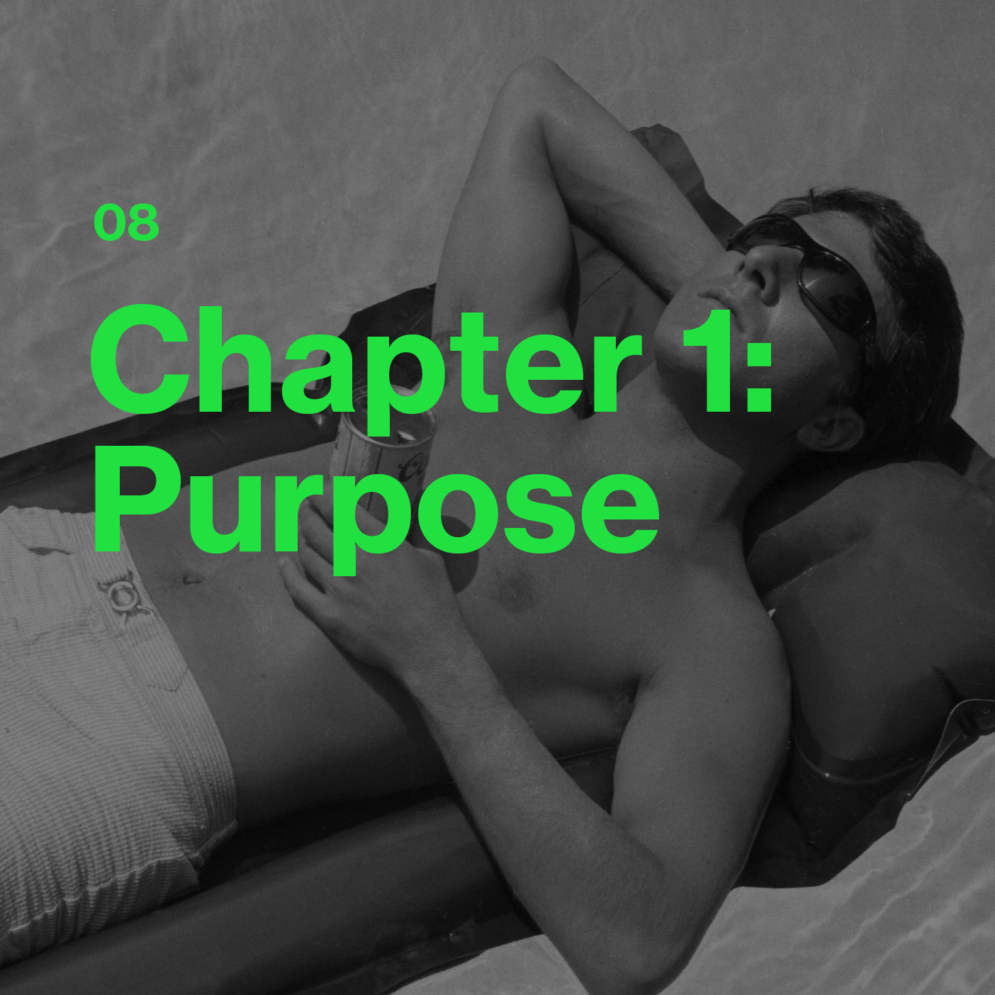 08. Chapter 1, Purpose