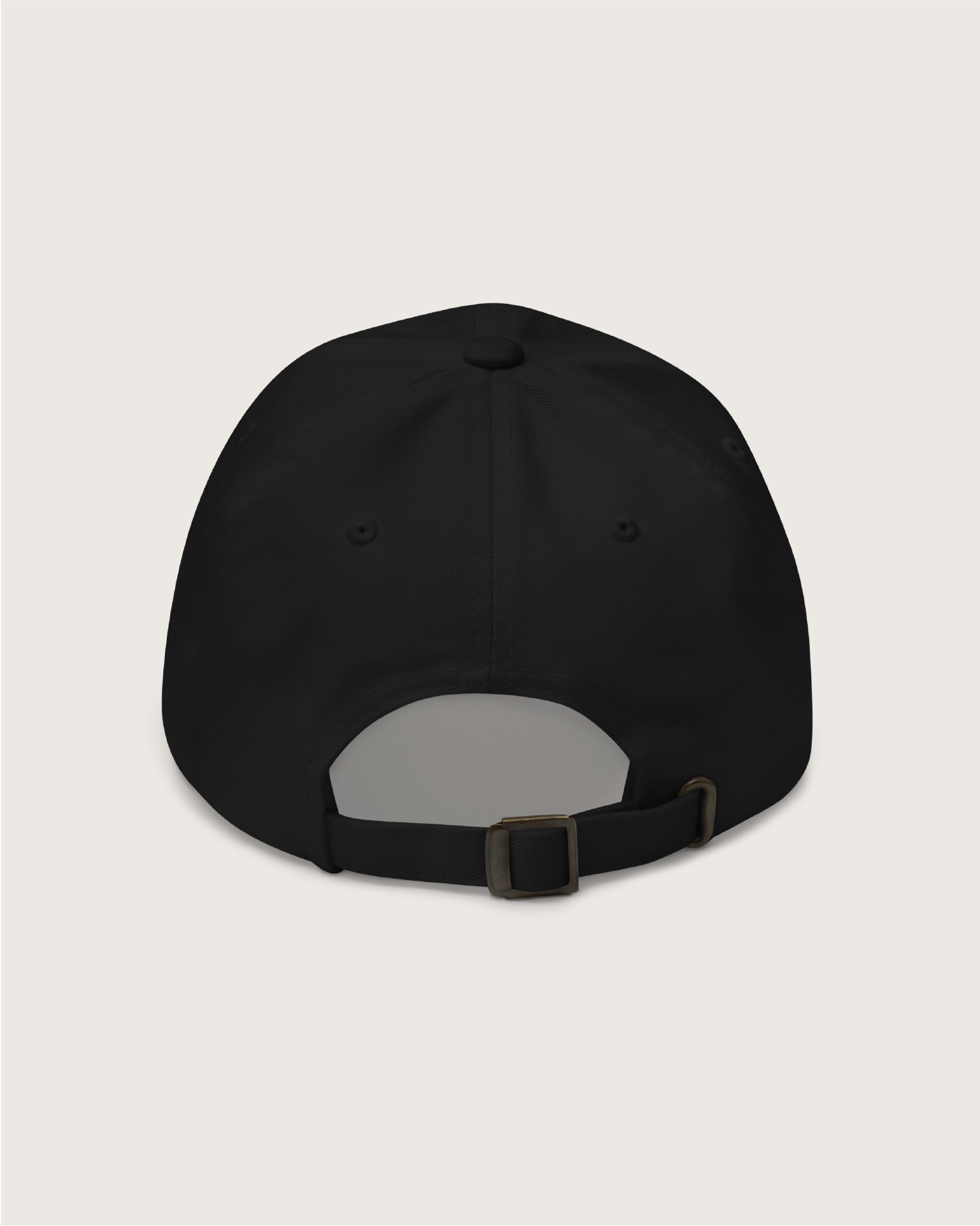 bsc_cap_back.png
