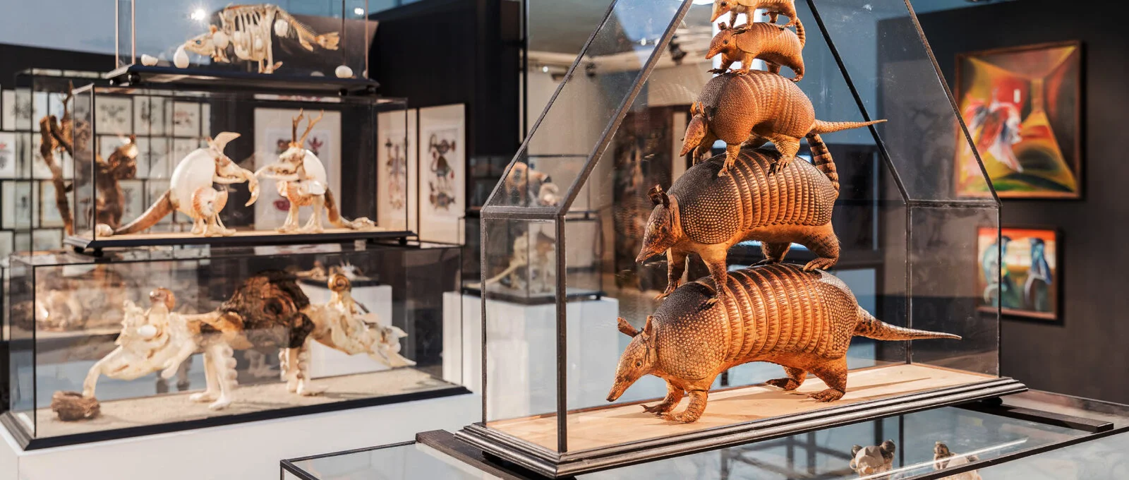 Opravdovou svobodu najdeš poslepu