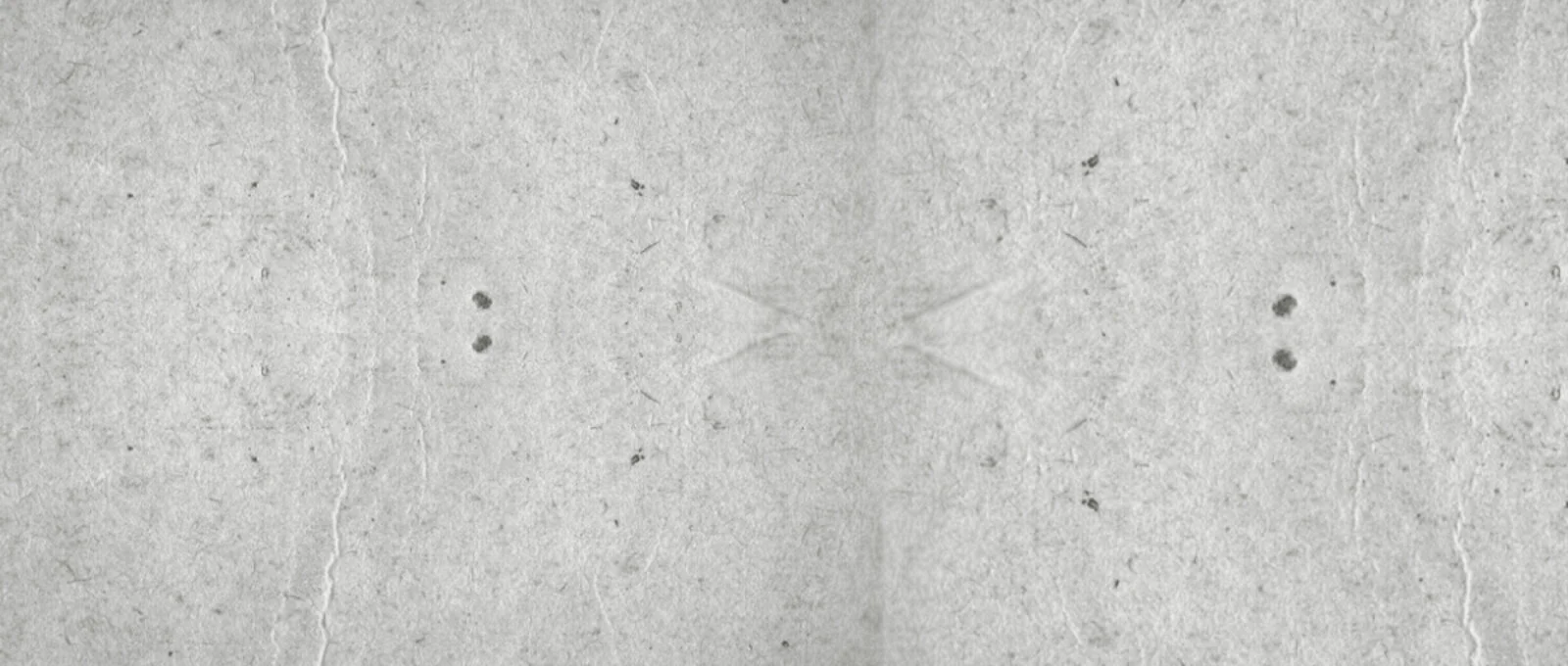 Apatické čekání na katastrofu v próze Elsy Aids