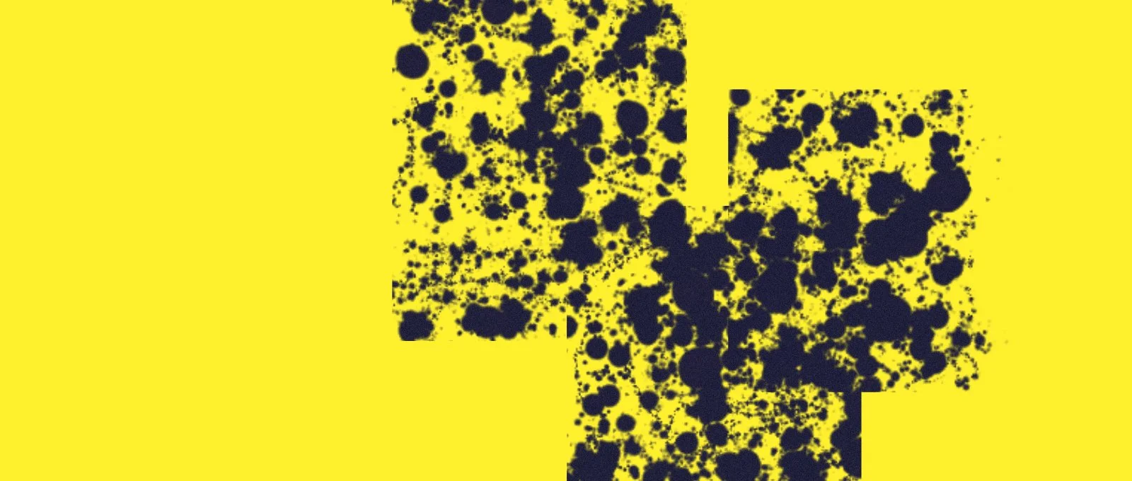 Anna Schubertová: Poznání autora se zásadně neliší od poznání druhého člověka