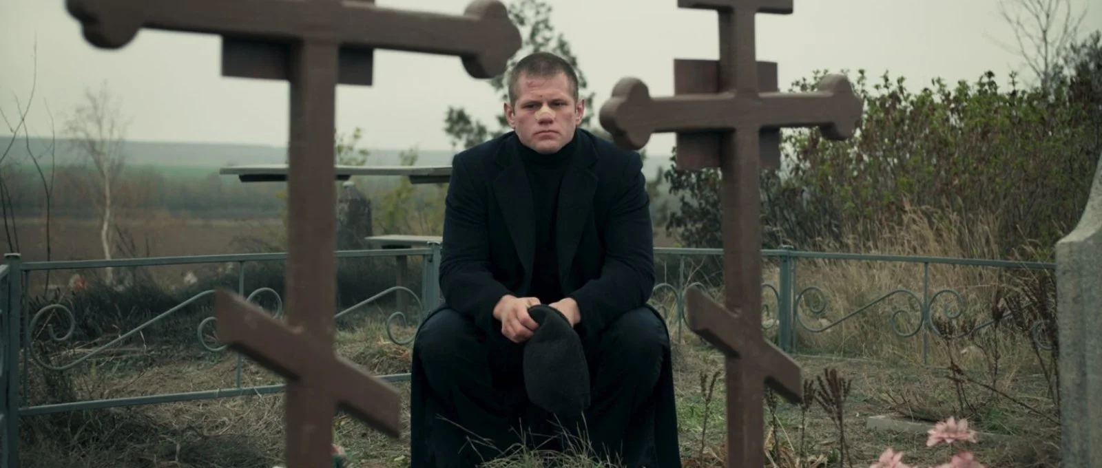 Nosoroh – od slunečnicových polí k želvě na stole