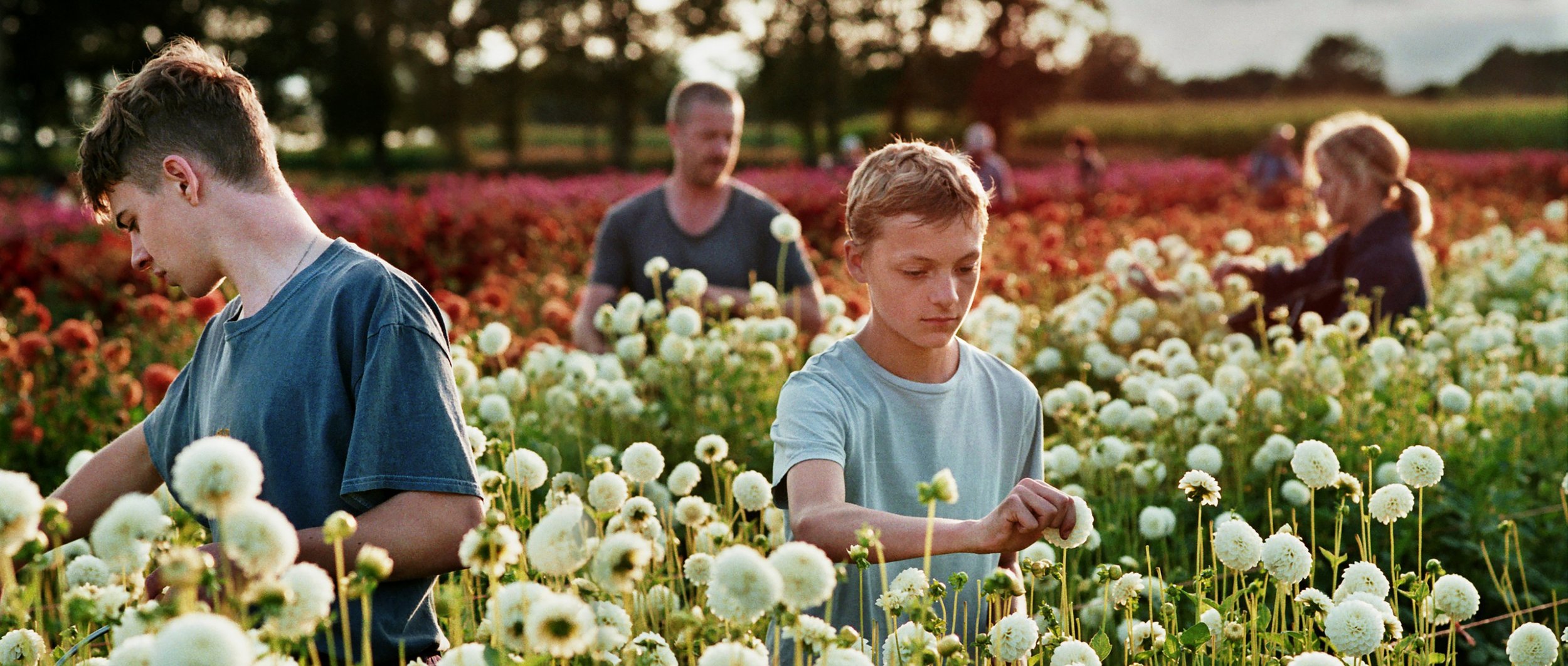 Lukas Dhont ve svém filmu Blízko nabízí terapii empatií