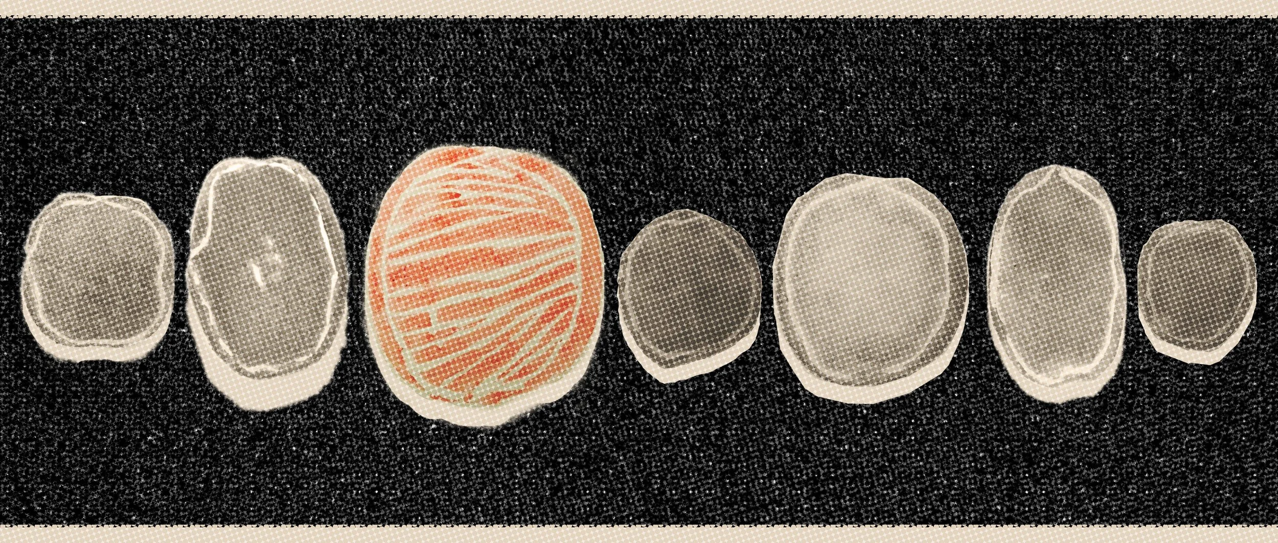 Budova č. 6: intimní a bohatý život kultury na jedné periferii