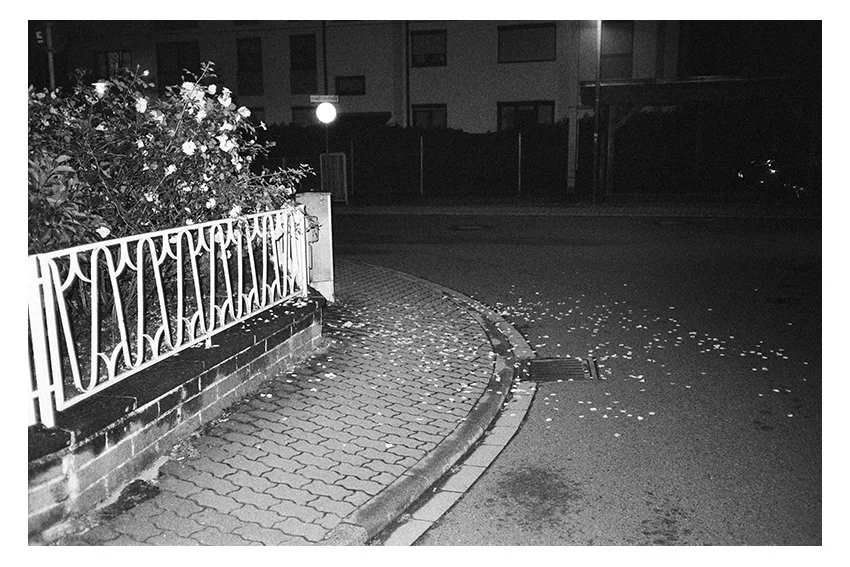 print-1.jpg