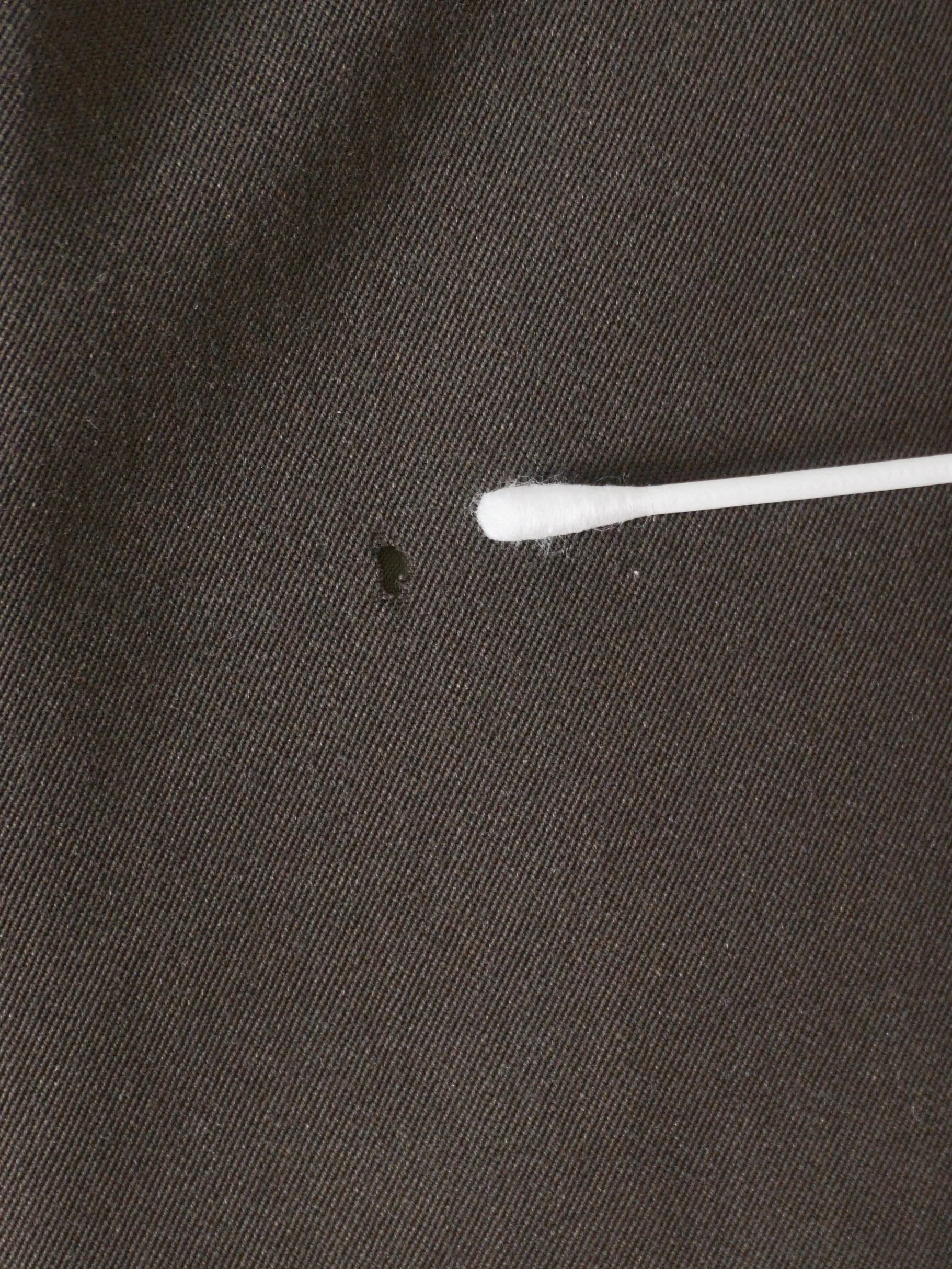 DSC03548.jpeg