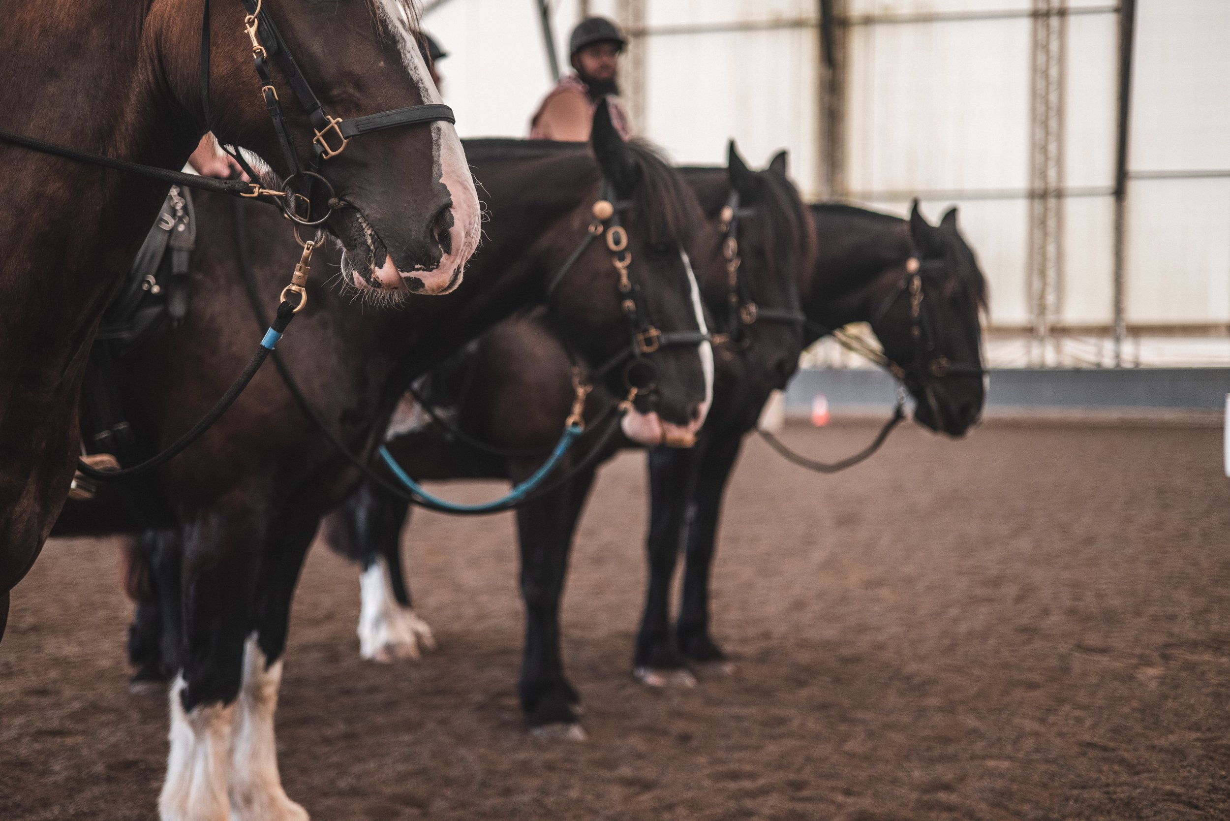 MPDMounted-15.jpg