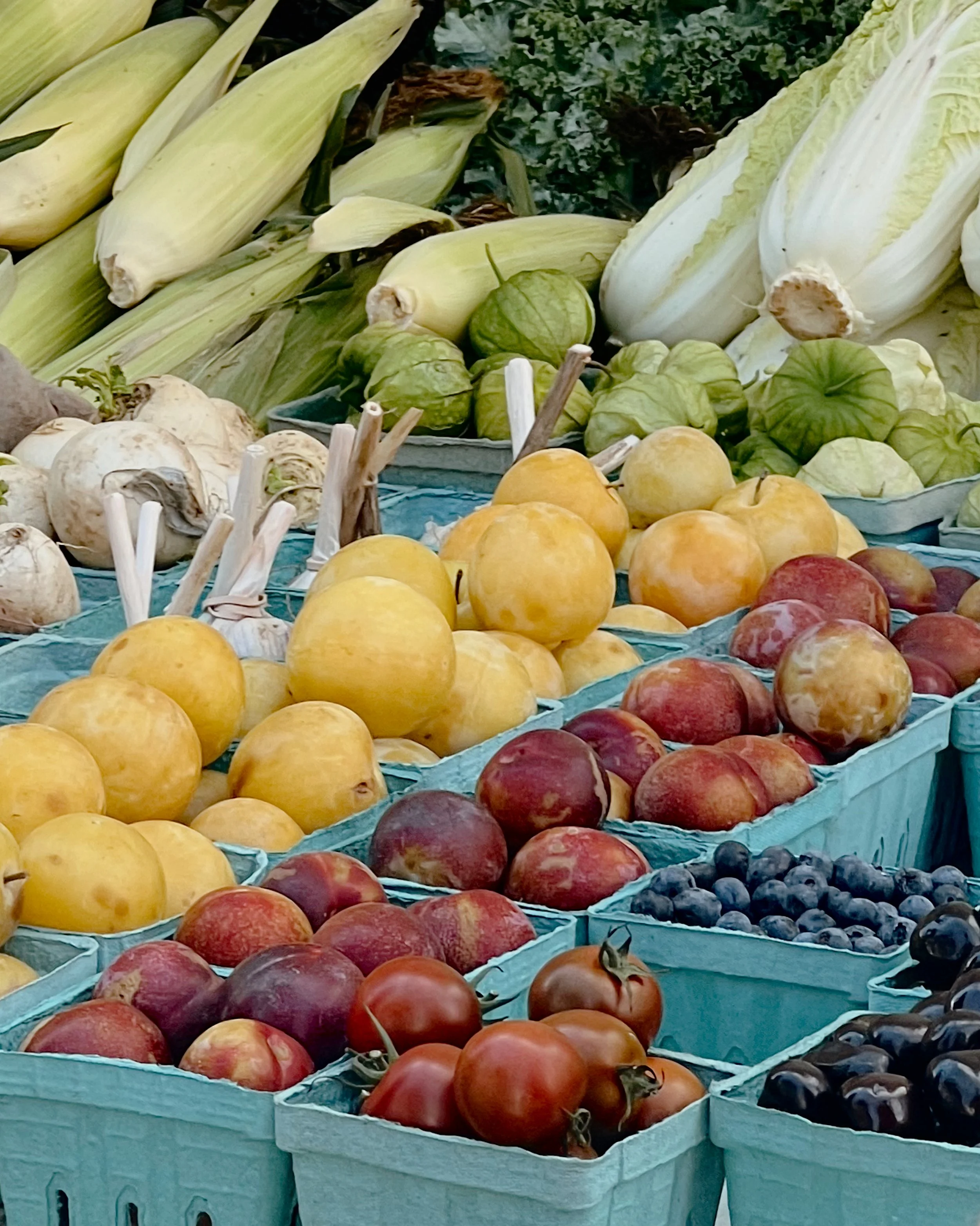 Chicago Farmers Markets 2026: A Guide to Every Neighborhood 