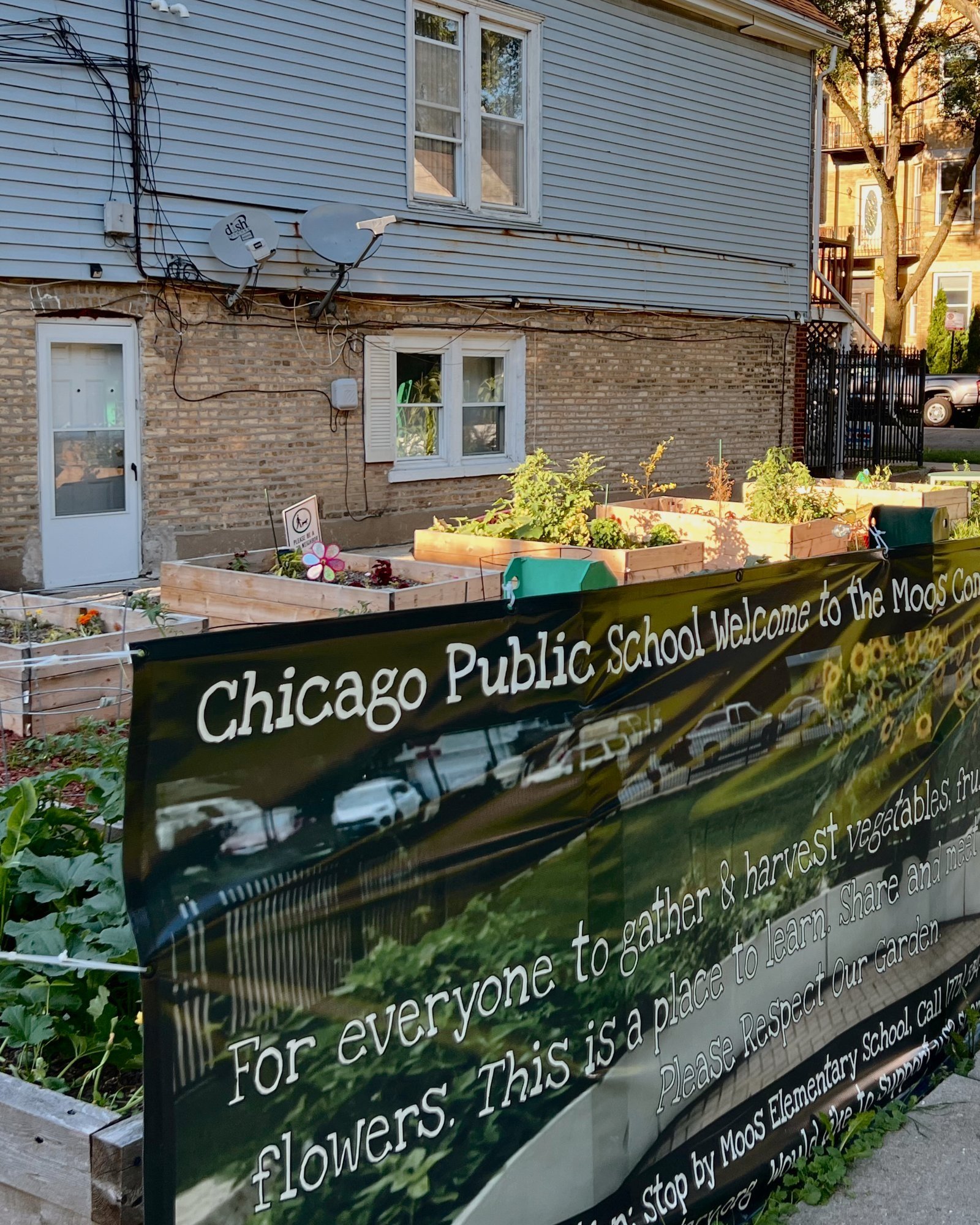logan-square-chicago-community-garden.jpg