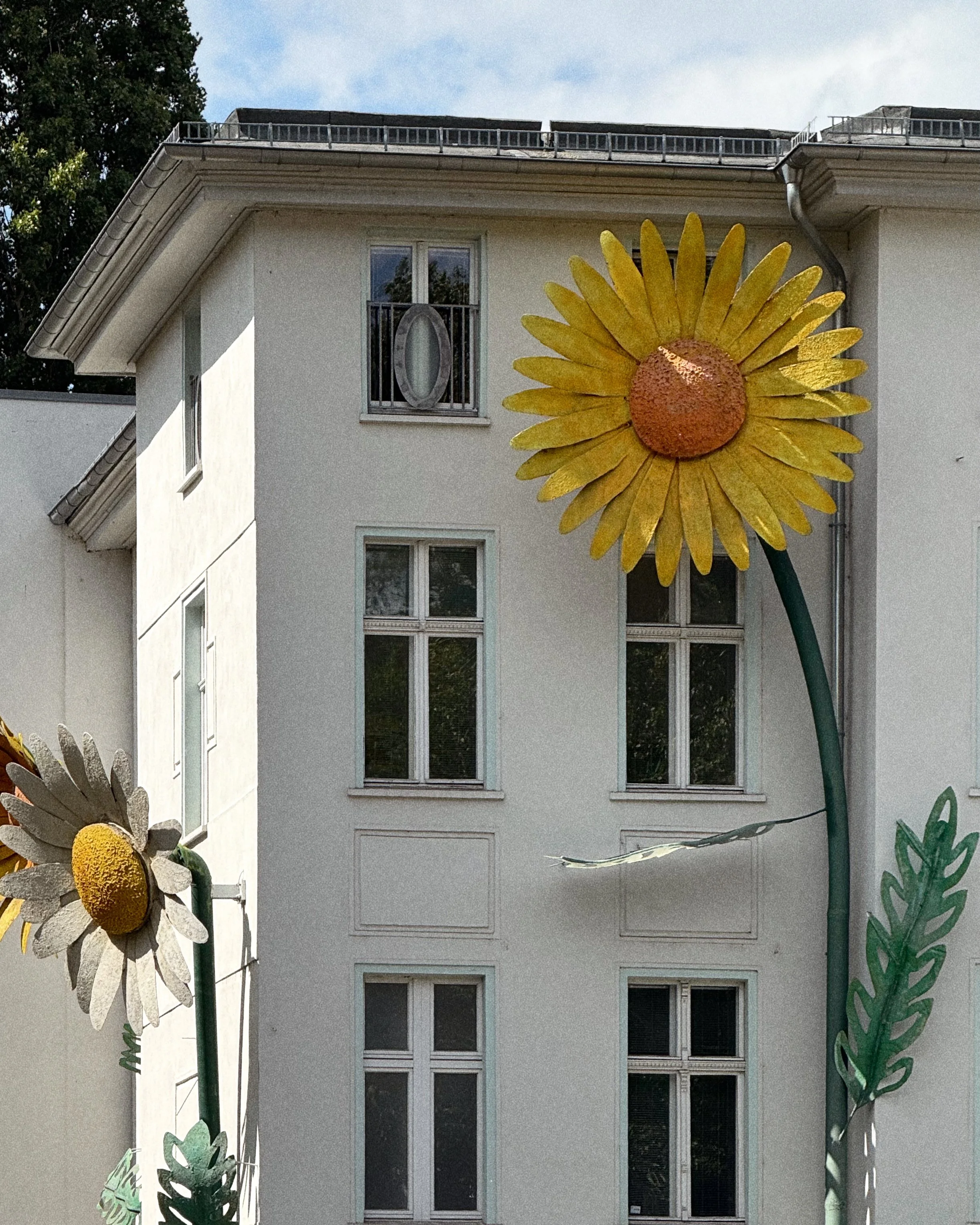 berlin-summer-building-flower.JPG