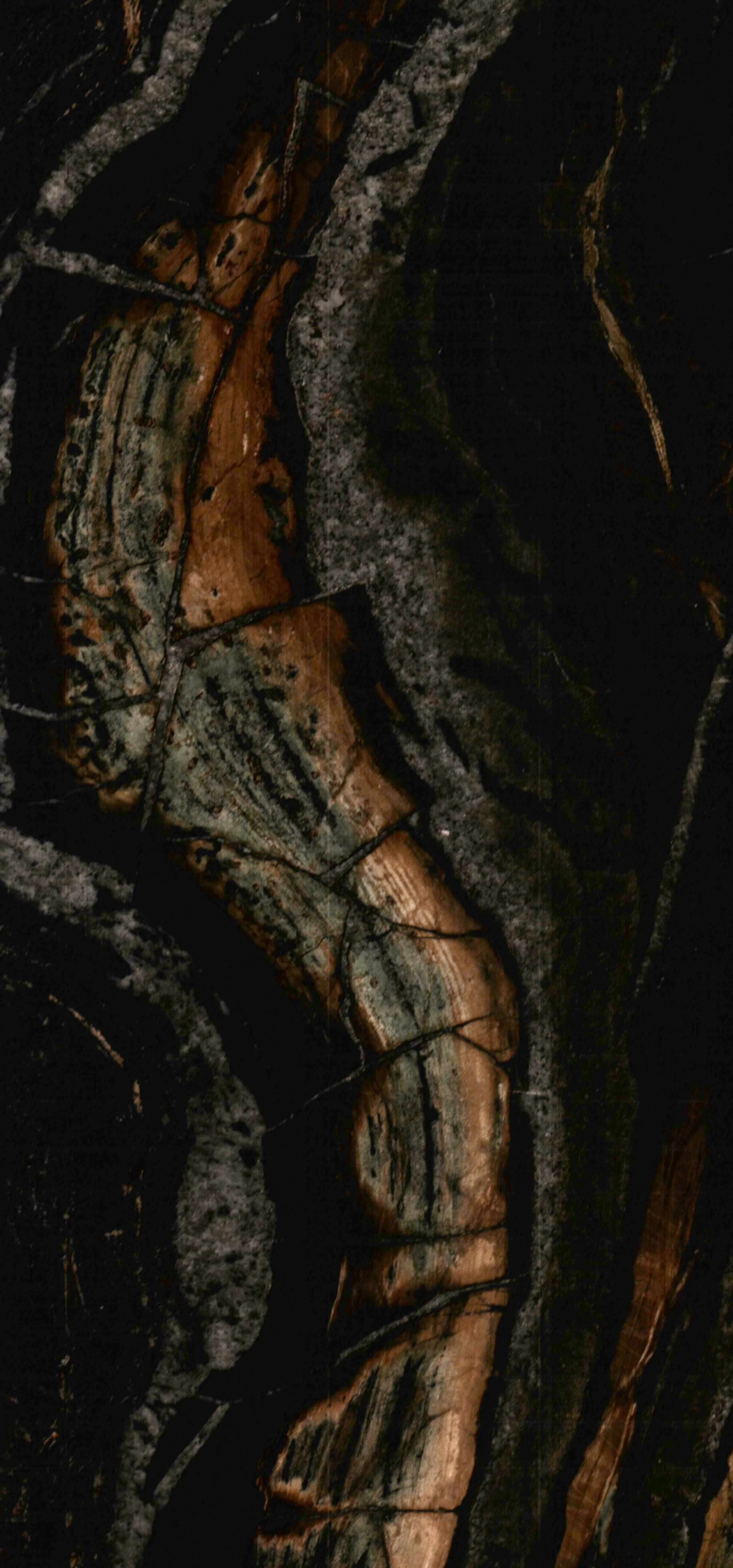 5415 N Ashland Sage Haus-1552 2.JPG