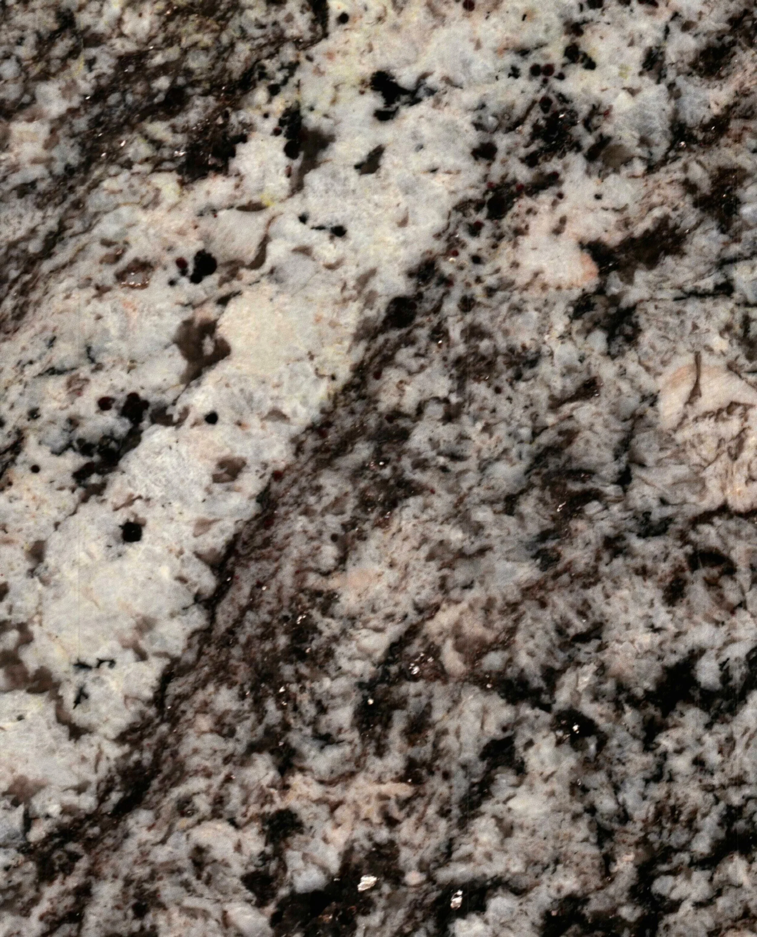 5415 N Ashland Sage Haus-9134.JPG