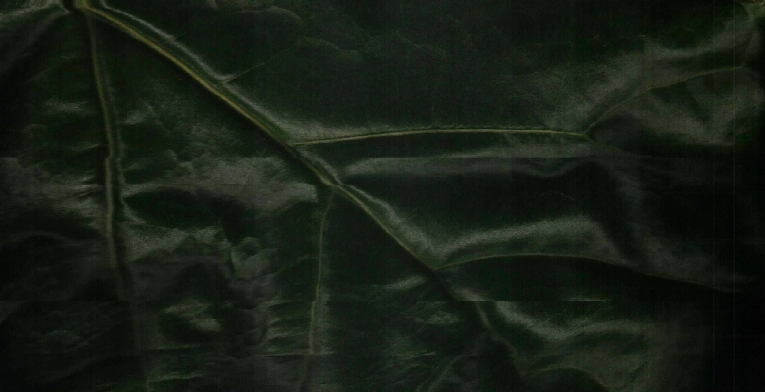 5415 N Ashland Sage Haus-8310.JPG