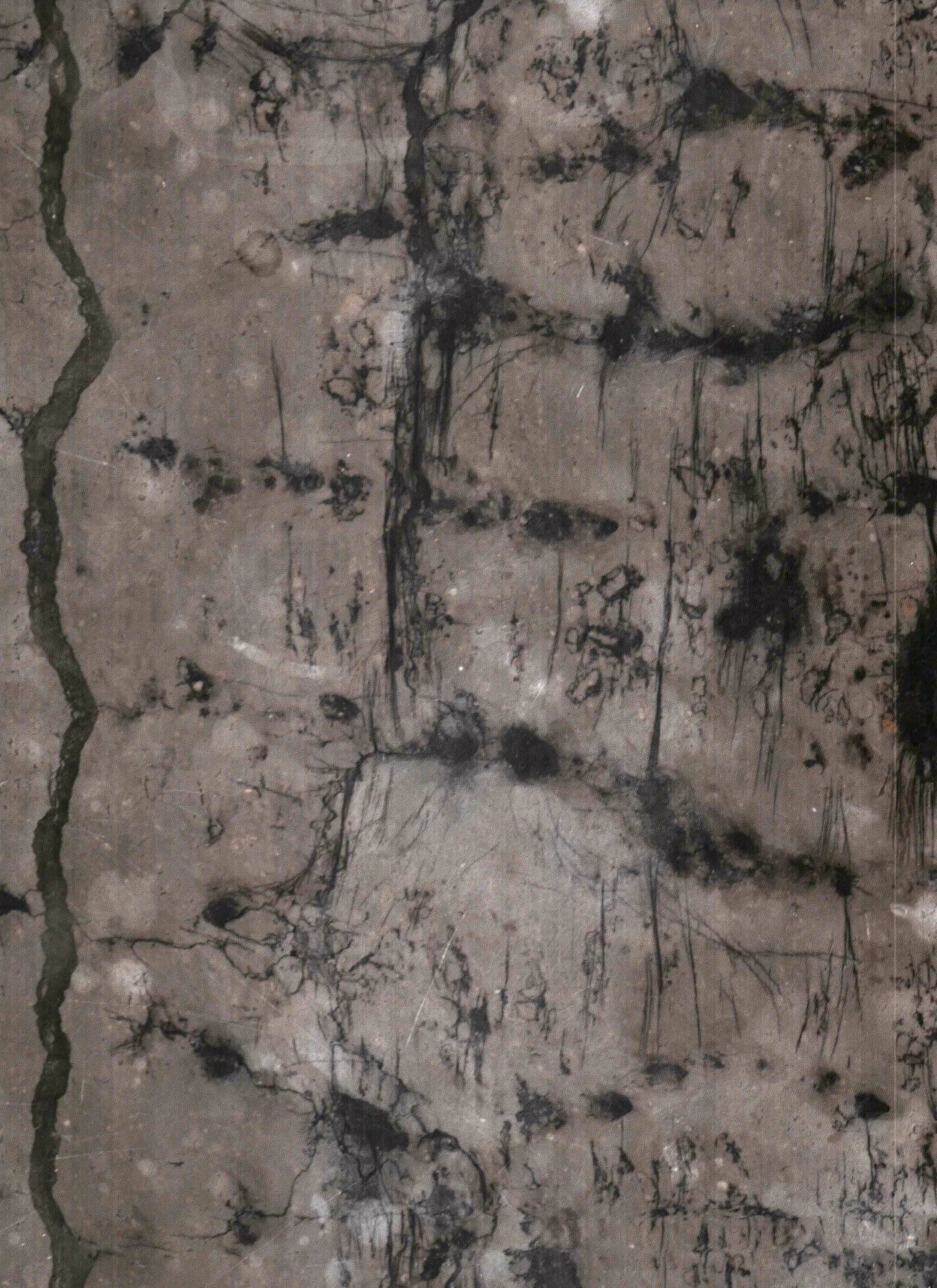 5415 N Ashland Sage Haus-3977.JPG