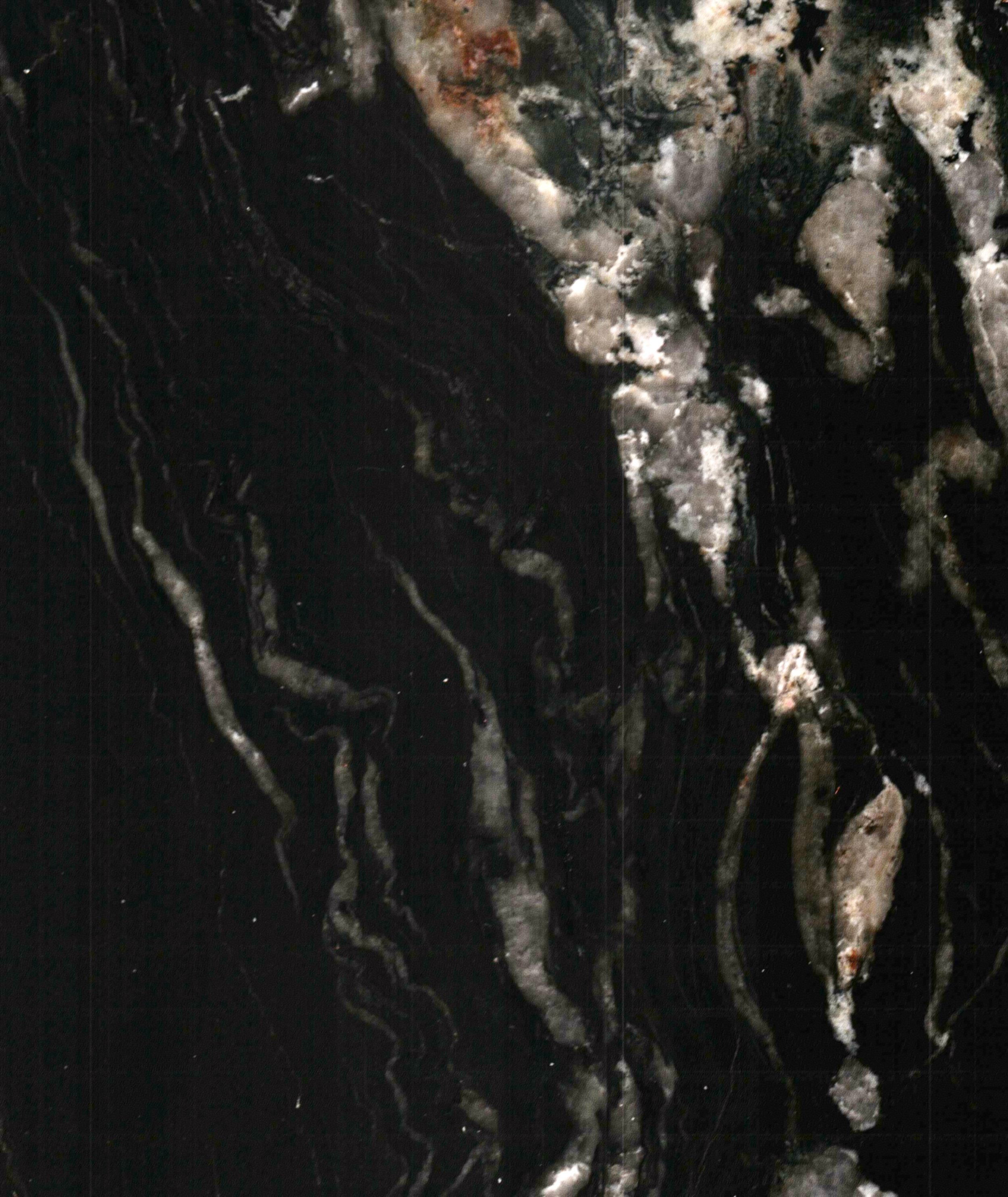 5415 N Ashland Sage Haus-1018.JPG