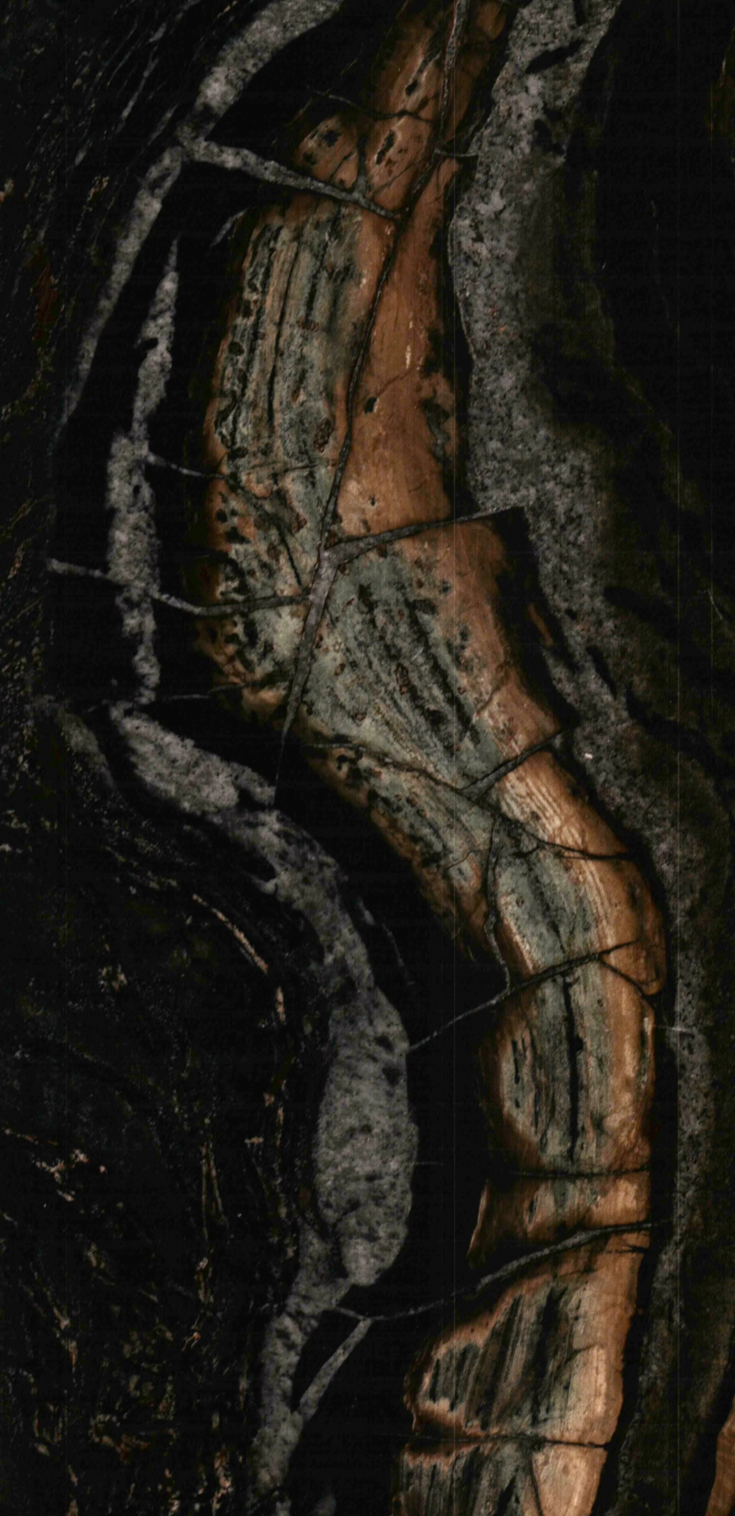 5415 N Ashland Sage Haus-9620.JPG