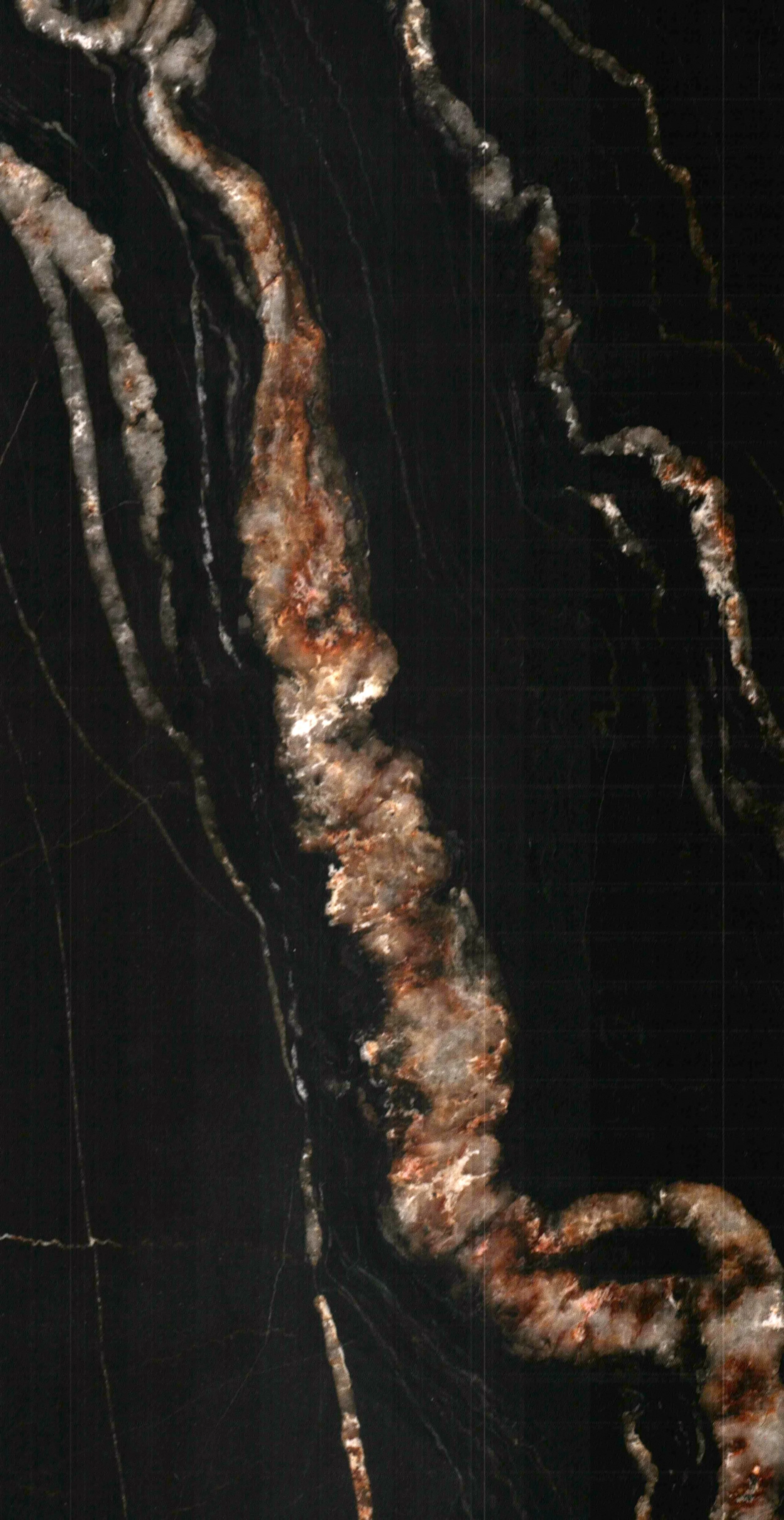 5415 N Ashland Sage Haus-0690.JPG