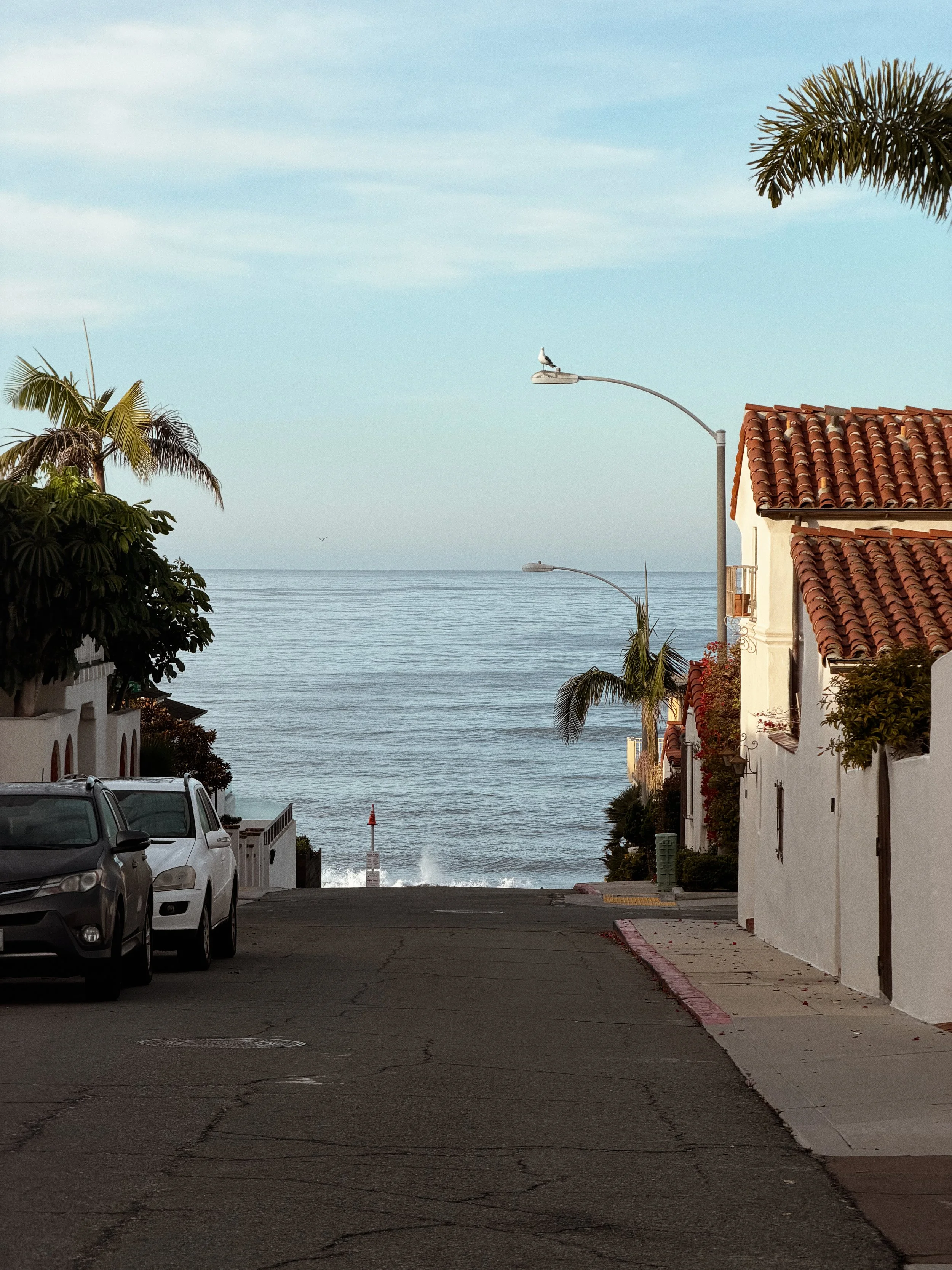 la-jolla-california-ocean-street.jpg