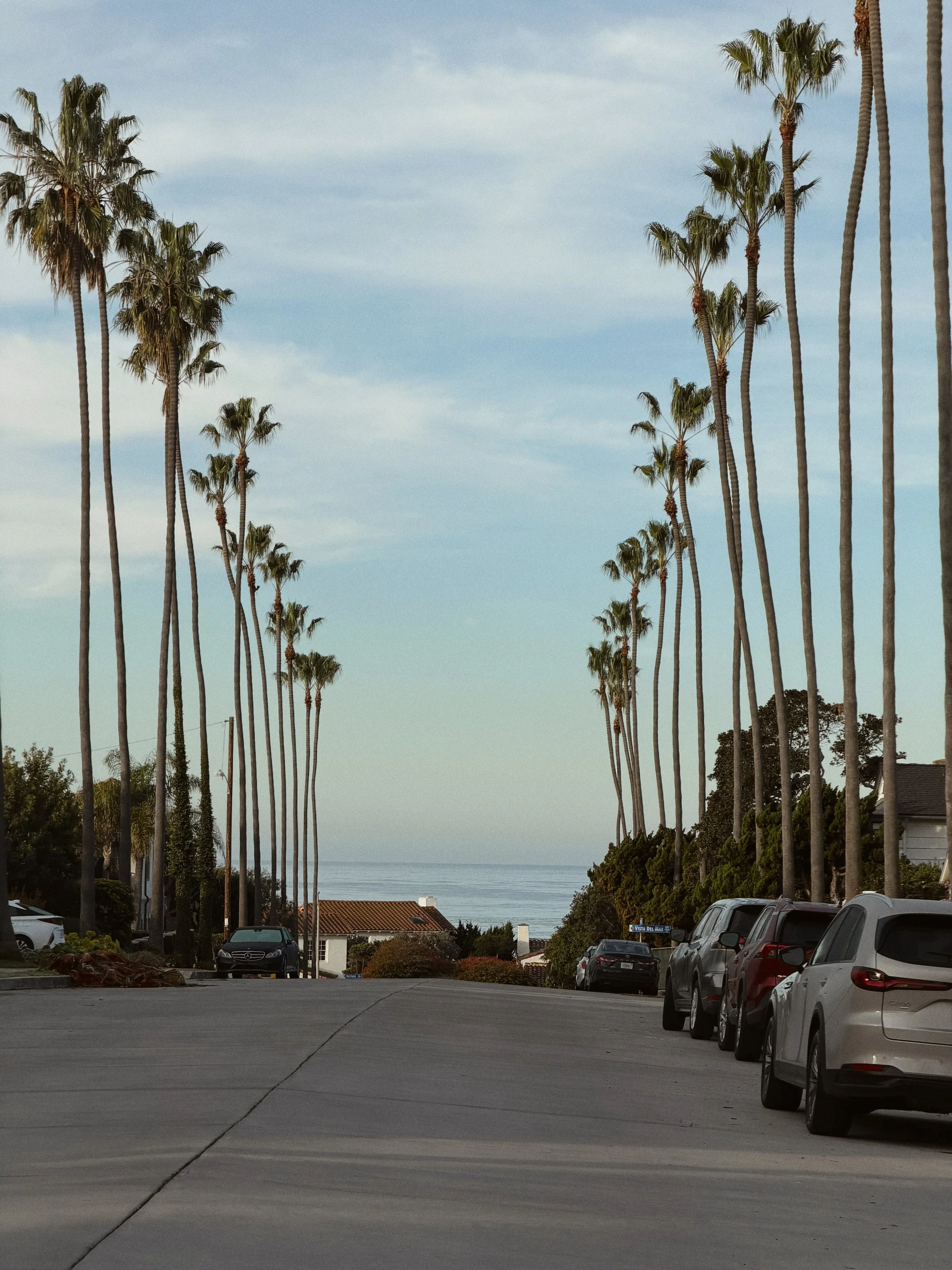 la-jolla-california-beach-street-palm-trees-aesthetic.jpg