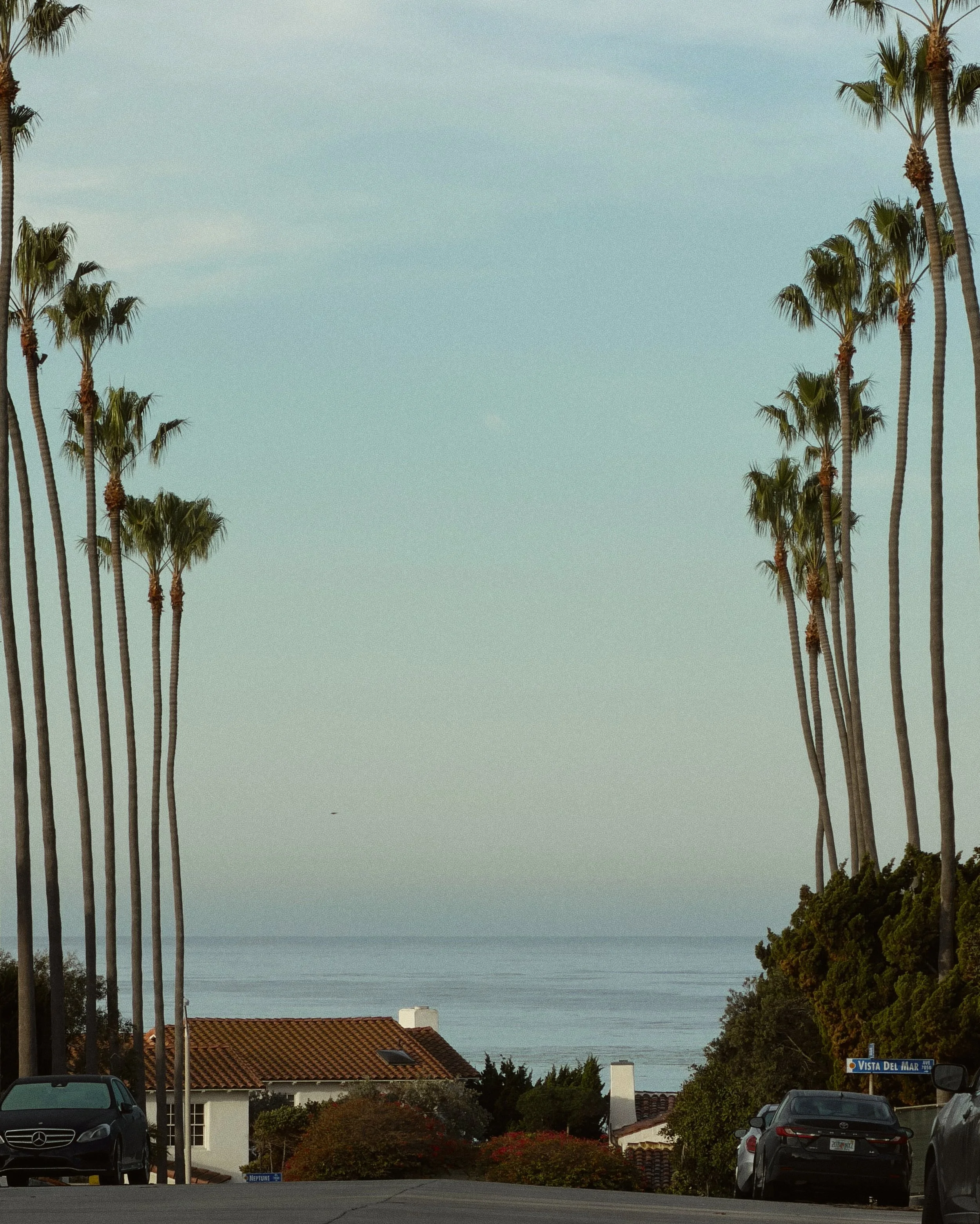 la-jolla-california-aesthetic-palm-trees-beach-7791.jpg
