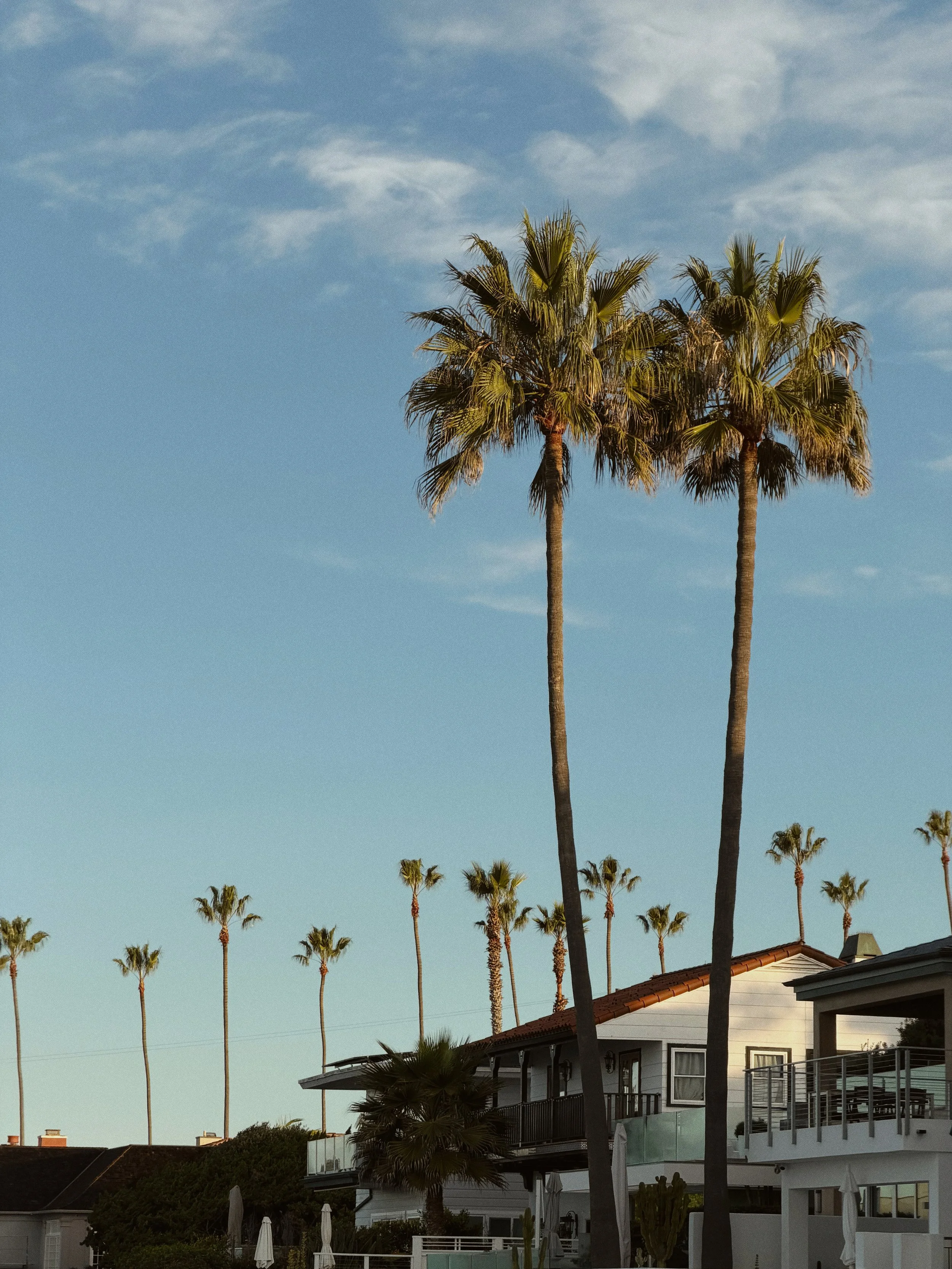 La Jolla: Along the Coast