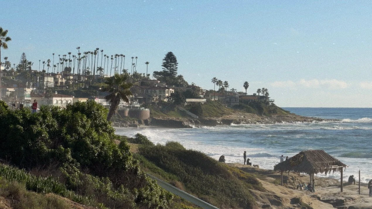 la-jolla-california-aesthetic-ocean-8263.JPG