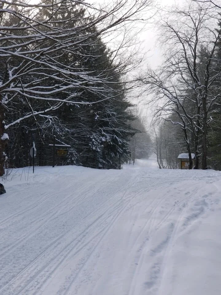 trail 1.JPG