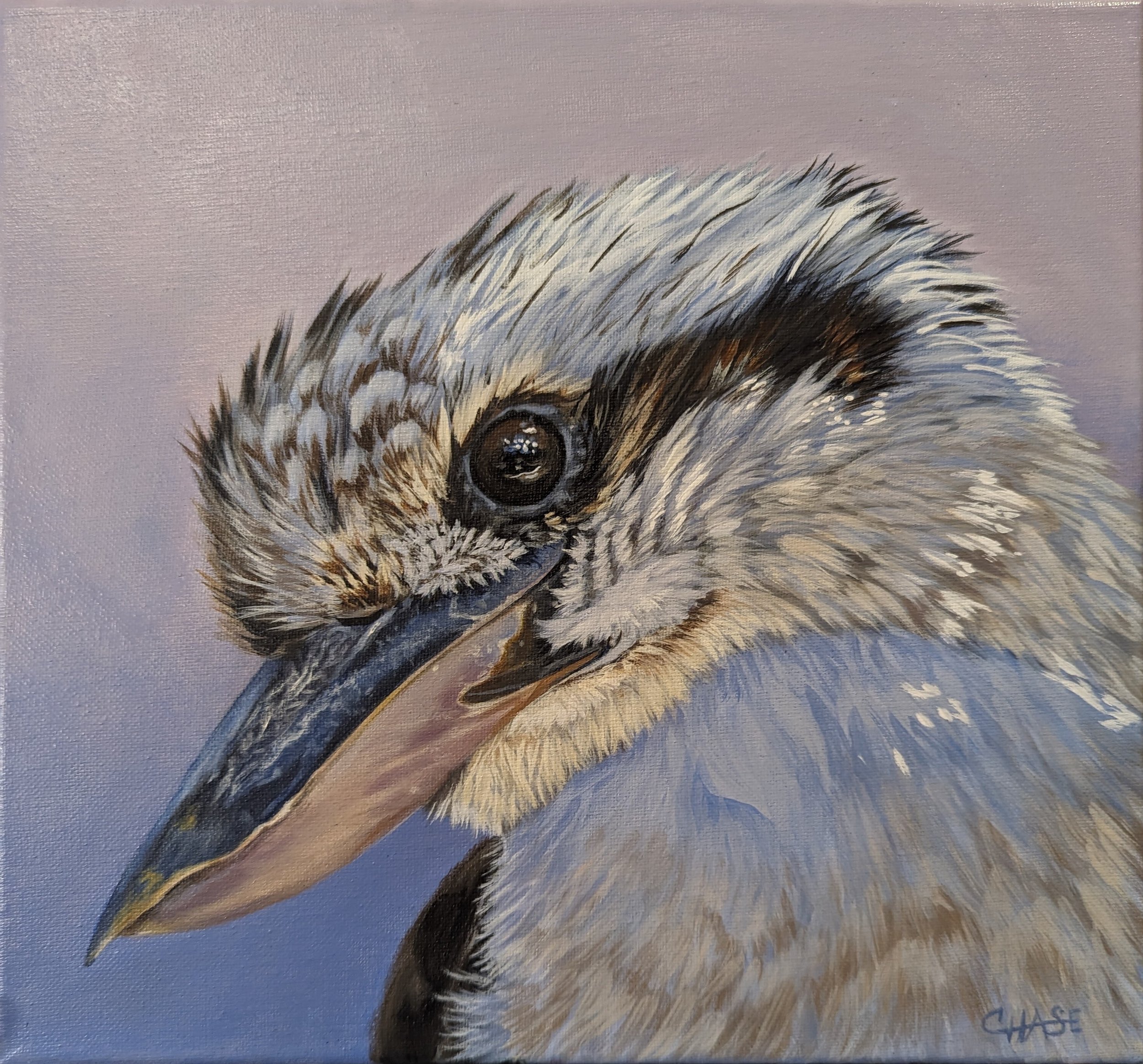 kim-chase-kookaburra_aN77cNHj.jpg