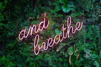 Meditation Benefits for Mind & Body