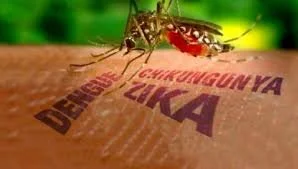 Community is key — hard evidence from a dengue trial