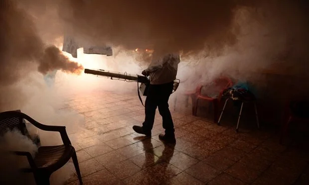 Zika virus: a dystopian future is not inevitable
