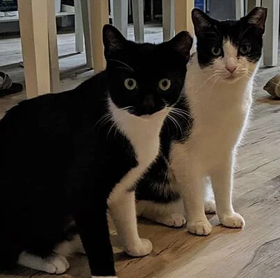 Willie and Colby.jpg