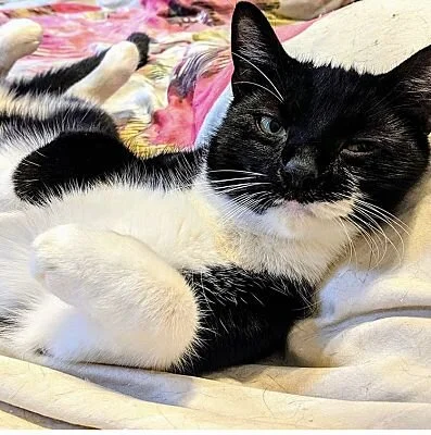 Colby (Copy)