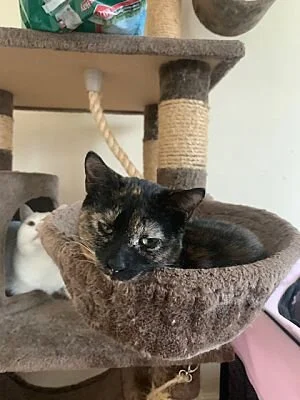 Chloe and Jade 3.jpg