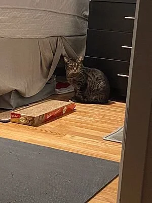Kiki1.jpg