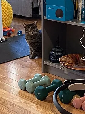 Kiki2.jpg