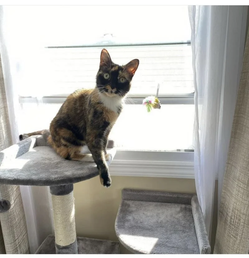 Pennylane2.jpg