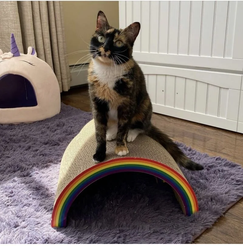 Pennylane3.jpg