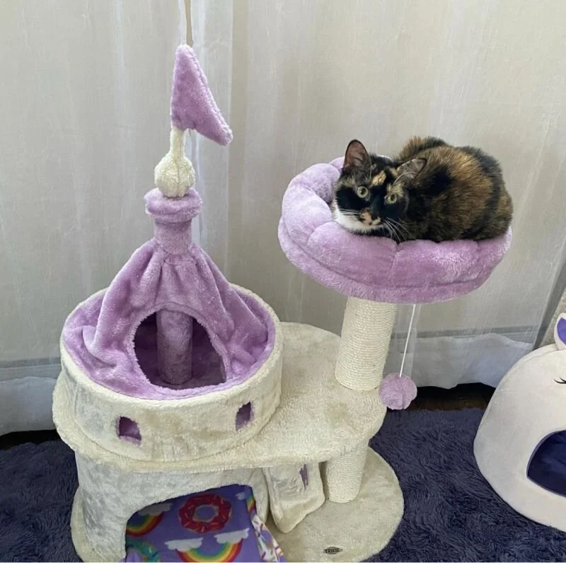 PennyLane4.jpg