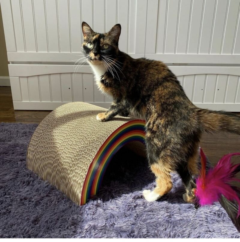 Penny Lane (Copy)