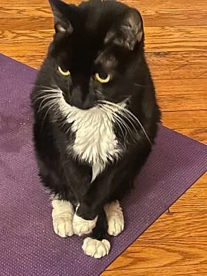 Abigail