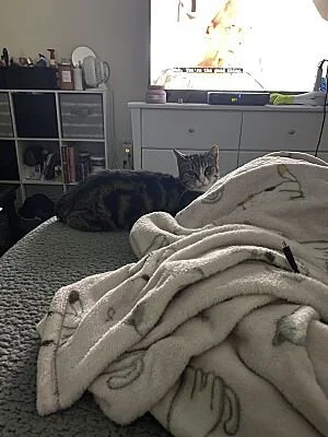 Mia-Nicolette2.jpg