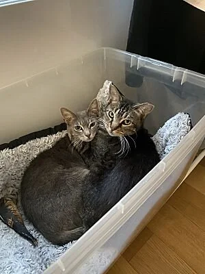 Shiloh & Sabrina (Copy)